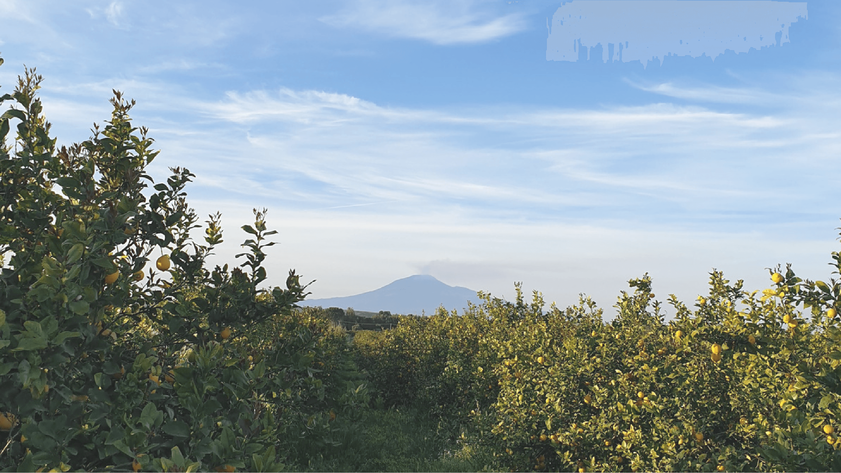 Tra il mare e l'Etna - Badiula