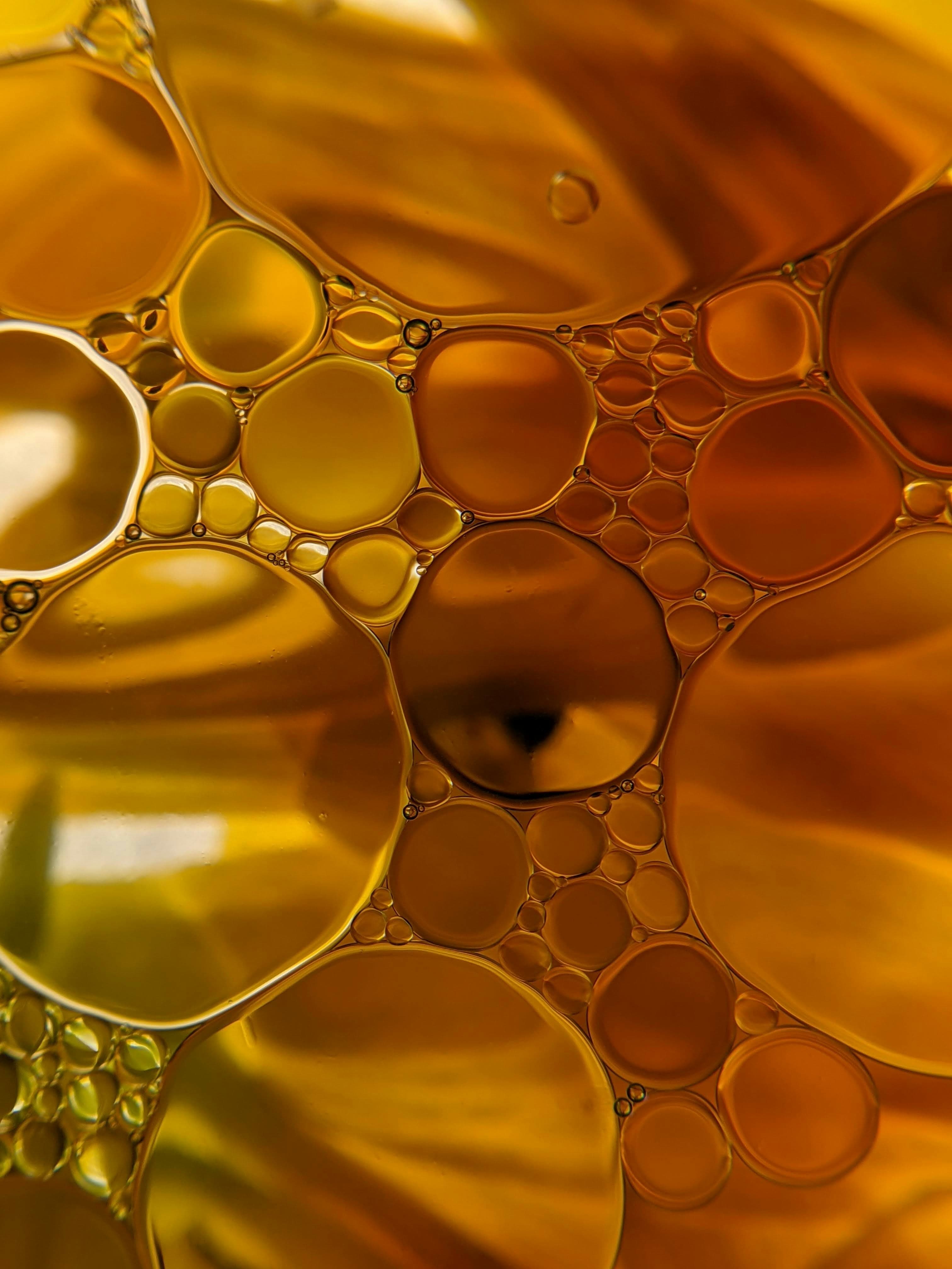 Olio extravergine di oliva biologico Badiula Luce di Terra